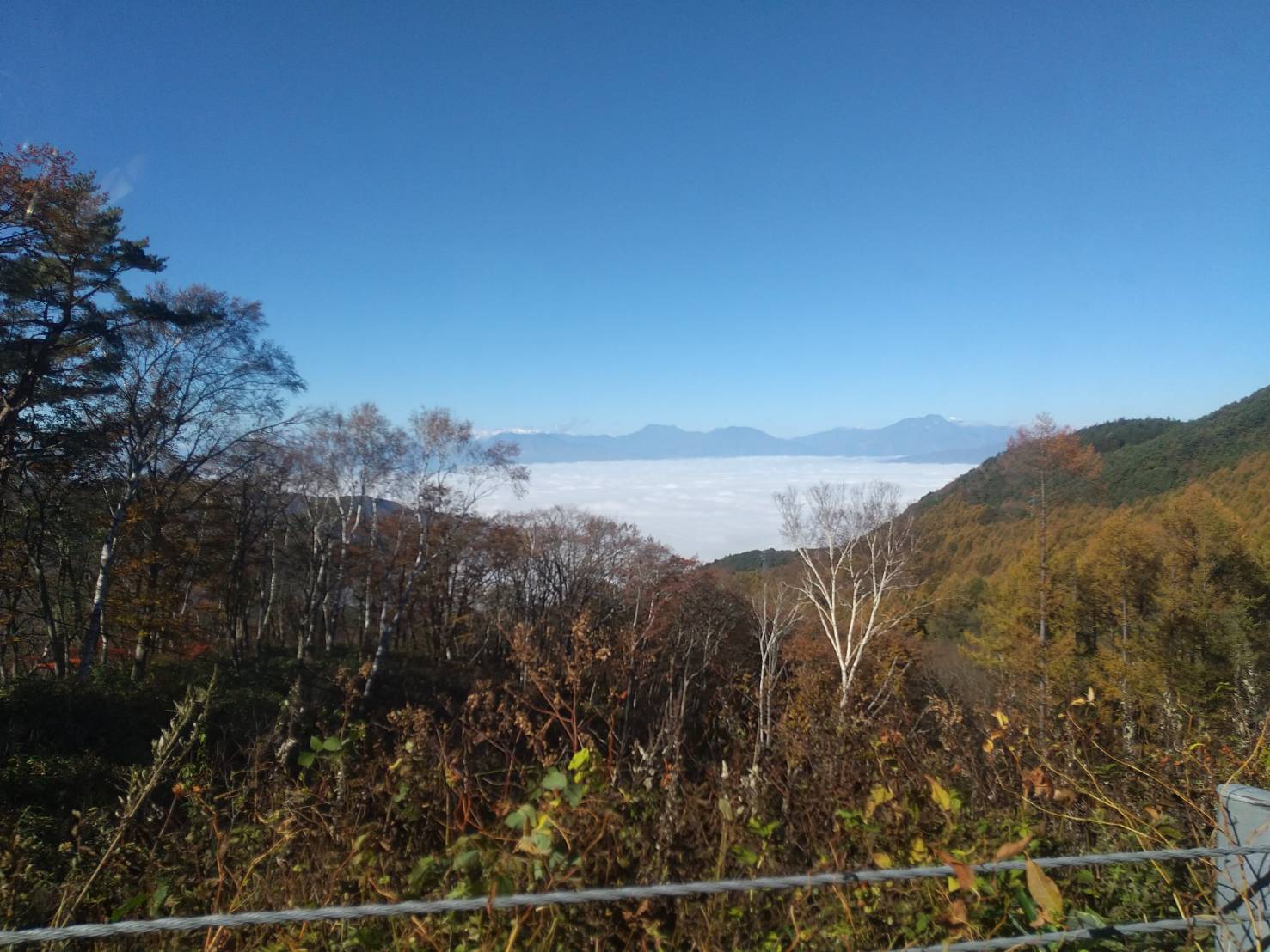 山からの中野市