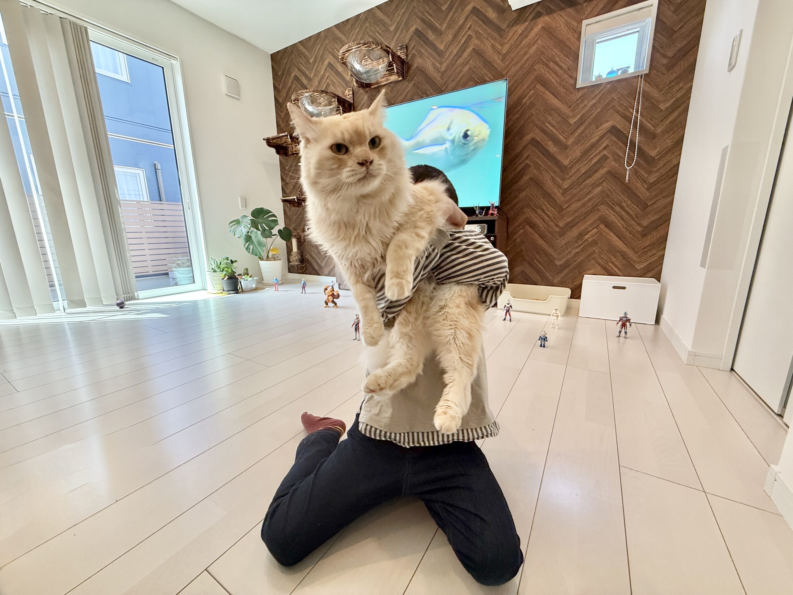 おりがみ